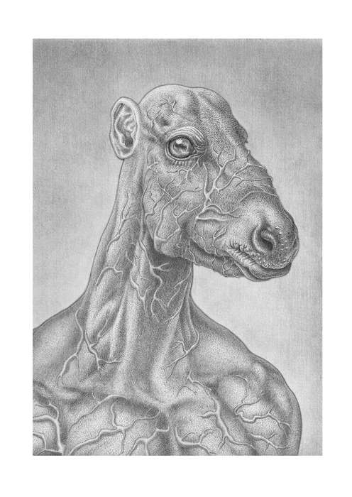 Het paard (The horse)