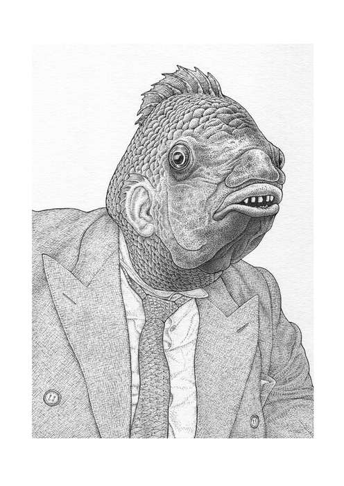 De tilapia (The tilapia)